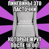 пингвины это ласточки которые жрут после 18:00.