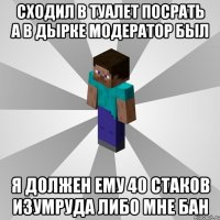 сходил в туалет посрать а в дырке модератор был я должен ему 40 стаков изумруда либо мне бан