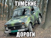 тумские дороги