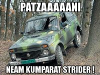 patzaaaaani neam kumparat strider !