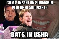 cum s ineshi un submarin plin de blandinshi ? bats in usha