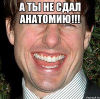 а ты не сдал анатомию!!! 