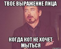 твое выражение лица когда кот не хочет мыться