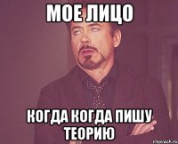 мое лицо когда когда пишу теорию