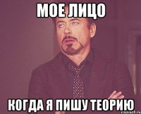 мое лицо когда я пишу теорию