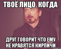 твоё лицо, когда друг говорит что ему не нравятся кирпичи
