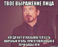 твоё выражение лица когда кот отказывается есть жареный уголь, приготовленный в печи бабы-яги