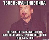 твоё выражение лица когда кот отказывается есть жаренный уголь, приготовленный в печи бабы-яги