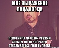моё выражение лица,когда покормила молоток свежим хлебом, но он всё равно отказывается пилить дрова