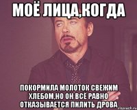 моё лица,когда покормила молоток свежим хлебом,но он всё равно отказывается пилить дрова