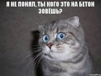 Я НЕ ПОНЯЛ, ТЫ КОГО ЭТО НА БЕТОН ЗОВЁШЬ?