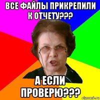 все файлы прикрепили к отчету??? а если проверю???