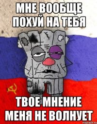 мне вообще похуй на тебя твое мнение меня не волнует