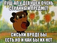 пуш-ап у девушек очень странный предмет сиськи вроде бы есть,но и как бы их нет