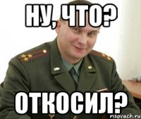 ну, что? откосил?