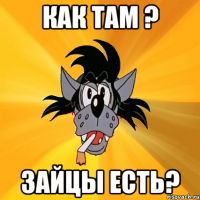 как там ? зайцы есть?