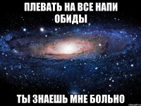 плевать на все напи обиды ты знаешь мне больно