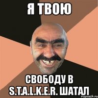 я твою свободу в s.t.a.l.k.e.r. шатал