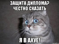 защита диплома? честно сказать я в ахуе!