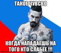 такое чувсво когда нападаешь на того кто слабее !!!