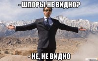 - шпоры не видно? - не, не видно