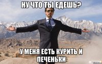 ну что ты едешь? у меня есть курить и печеньки