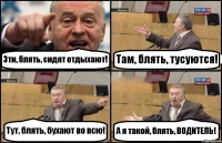 Эти, блять, сидят отдыхают! Там, блять, тусуются! Тут, блять, бухают во всю! А я такой, блять, ВОДИТЕЛЬ!