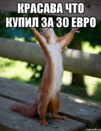 красава что купил за 30 евро 