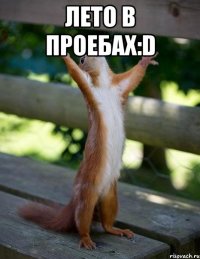 лето в проебах:d 