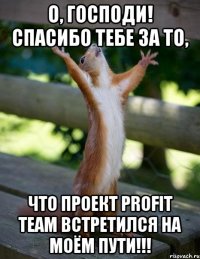 о, господи! спасибо тебе за то, что проект profit team встретился на моём пути!!!