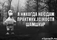 Я никогда не сдам практику..(с)Костя Шамшкур