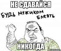 не сдавайся никогда