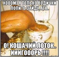 хооом) я только водички попить зайду, ага.. о! кошачий лоток.. ииигооорь !!!