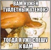 вам нужен туалетный утенок? тогда я уже спешу к вам