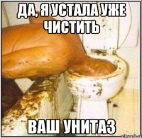 да, я устала уже чистить ваш унитаз