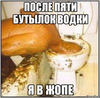 после пяти бутылок водки я в жопе