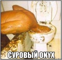  суровый onyx