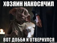 хозяин накосячил вот добби и отвернулся