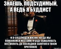 знаешь, подсудимый, а ведь я буддист и в следующей жизни, когда мы поменяемся местами, я буду обжаловать все, вплоть до последней запятой в твоем протоколе