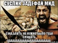 суслик задефай мид сука,блять, не нужно было тебя слушать ааааааааааааааааааааааааа