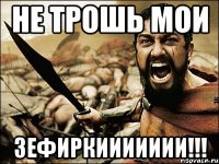 не трошь мои зефиркиииииии!!!