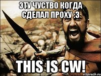 эту чуство когда сделал проху :3 this is cw!