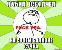 я убил всех пчел на своем балконе сучка