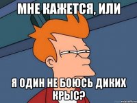 мне кажется, или я один не боюсь диких крыс?