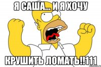 я саша... и я хочу крушить ломать!!111