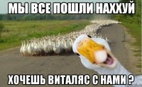 мы все пошли наххуй хочешь виталяс с нами ?