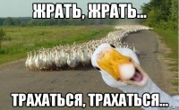 жрать, жрать... трахаться, трахаться...