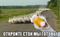  откройте сток мы готовы