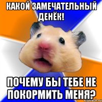 какой замечательный денёк! почему бы тебе не покормить меня?