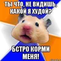 ты что, не видишь, какой я худой? бстро корми меня!